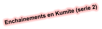 Enchainements en Kumite (serie 2)
